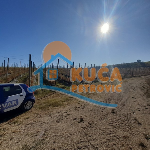 Plac, Crvena Reka ID: p-09849 7