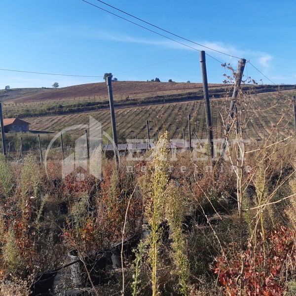 Plac, Crvena Reka ID: p-09849 23