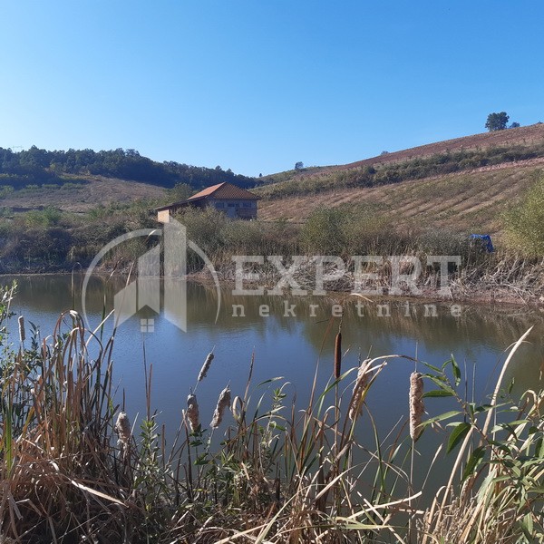 Plac, Crvena Reka ID: p-09849 1