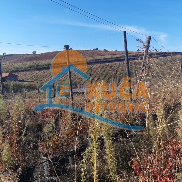 Plac, Crvena Reka ID: p-09849 23