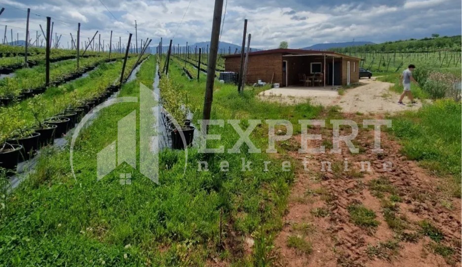 Plac, Crvena Reka ID: p-09849 10