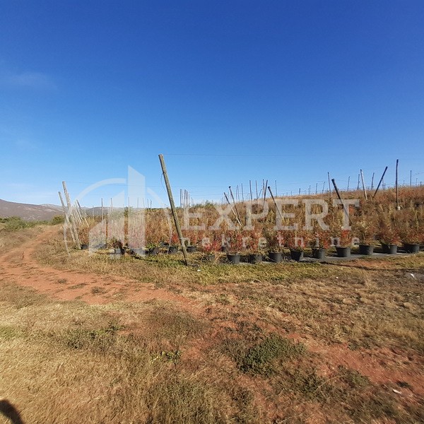 Plac, Crvena Reka ID: p-09849 12