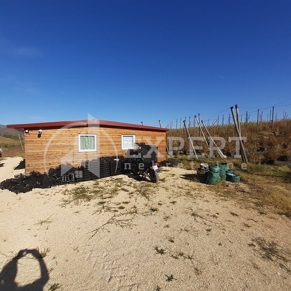 Plac, Crvena Reka ID: p-09849 3