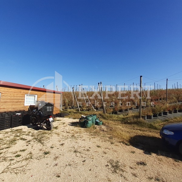 Plac, Crvena Reka ID: p-09849 4