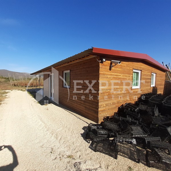 Plac, Crvena Reka ID: p-09849 5