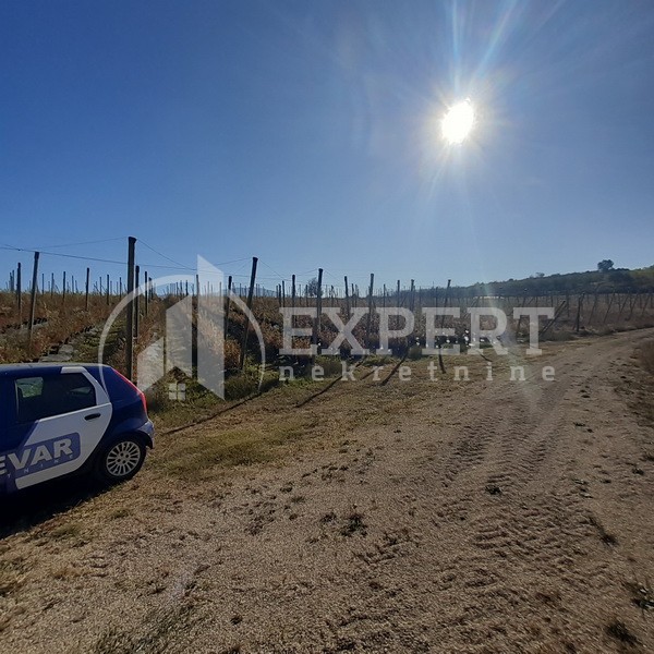 Plac, Crvena Reka ID: p-09849 7