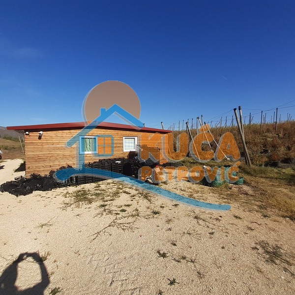 Plac, Crvena Reka ID: p-09849 3