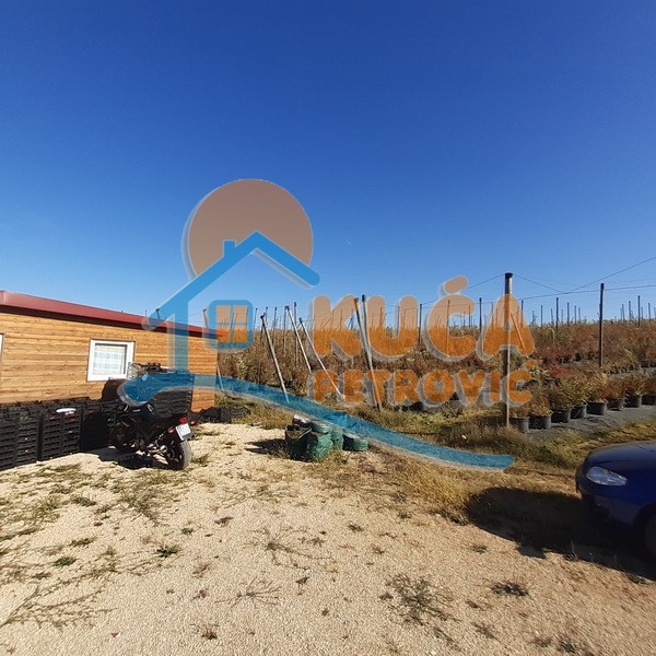 Plac, Crvena Reka ID: p-09849 4