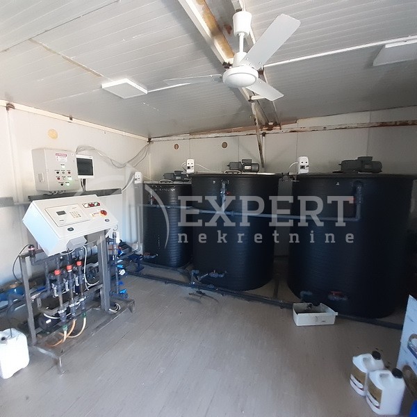 Plac, Crvena Reka ID: p-09849 22