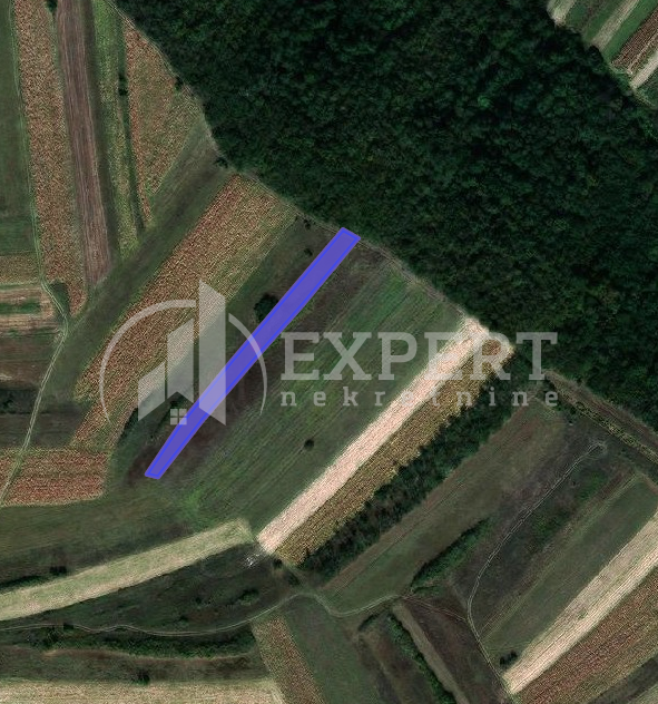 Plac, Doljevac ID: p-07003 1