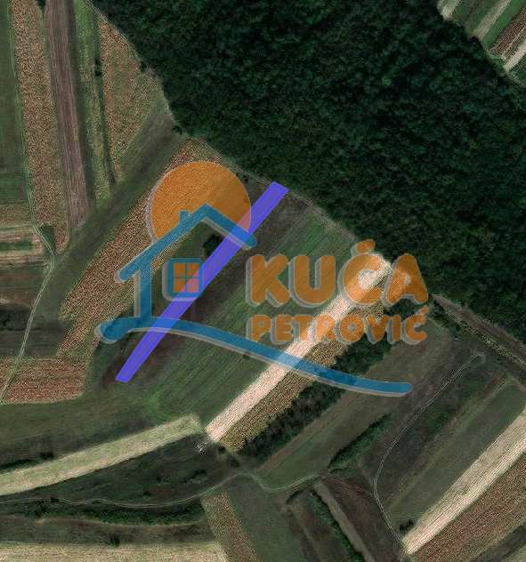 Plac, Doljevac ID: p-07003 1