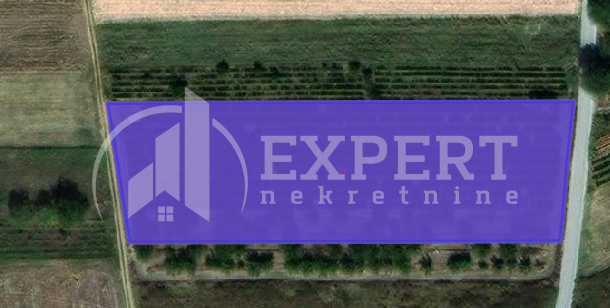 Plac, Gornja Trnava, Donja Trnava ID: p-010616 1