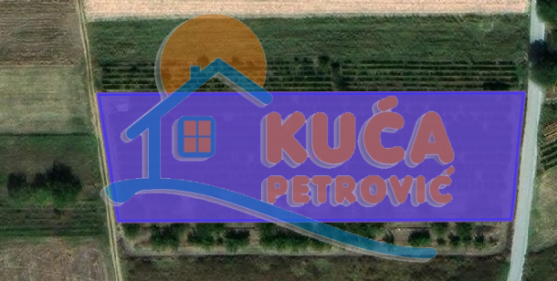 Plac, Gornja Trnava, Donja Trnava ID: p-010616 1