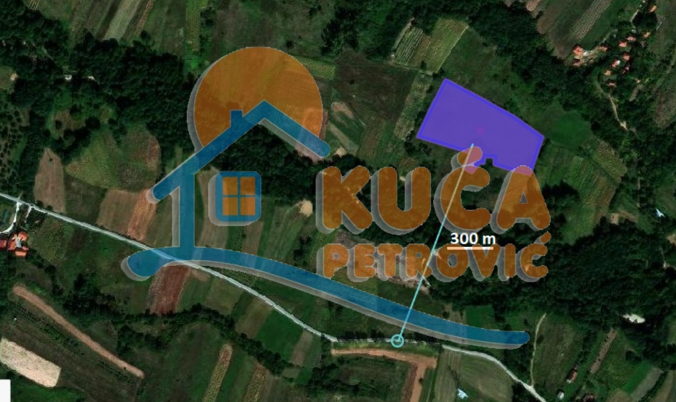 Plac, Jelašnica ID: p-010617 6