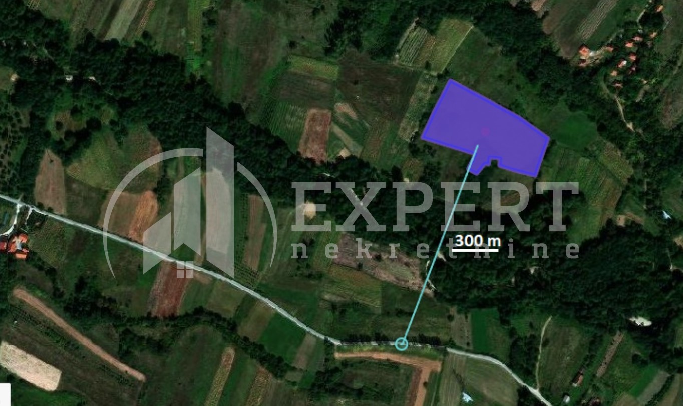 Plac, Jelašnica ID: p-010617 6