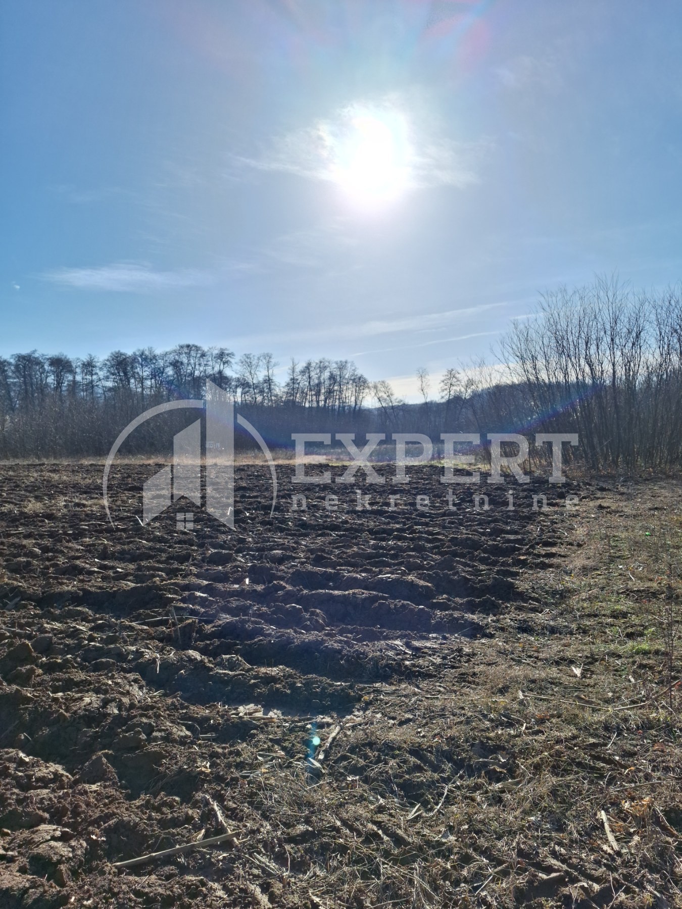 Plac, Jelašnica ID: p-010617 2