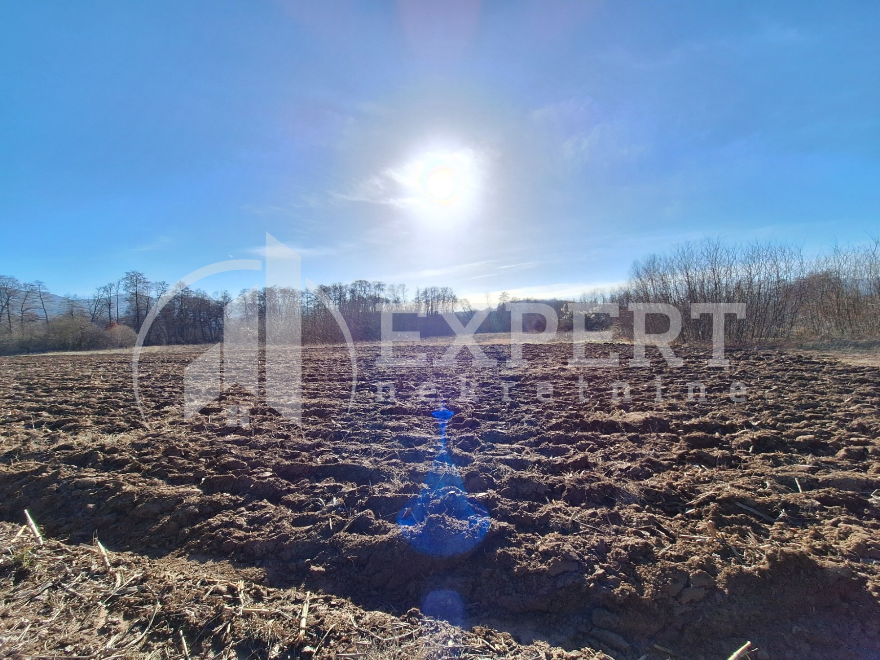 Plac, Jelašnica ID: p-010617 3