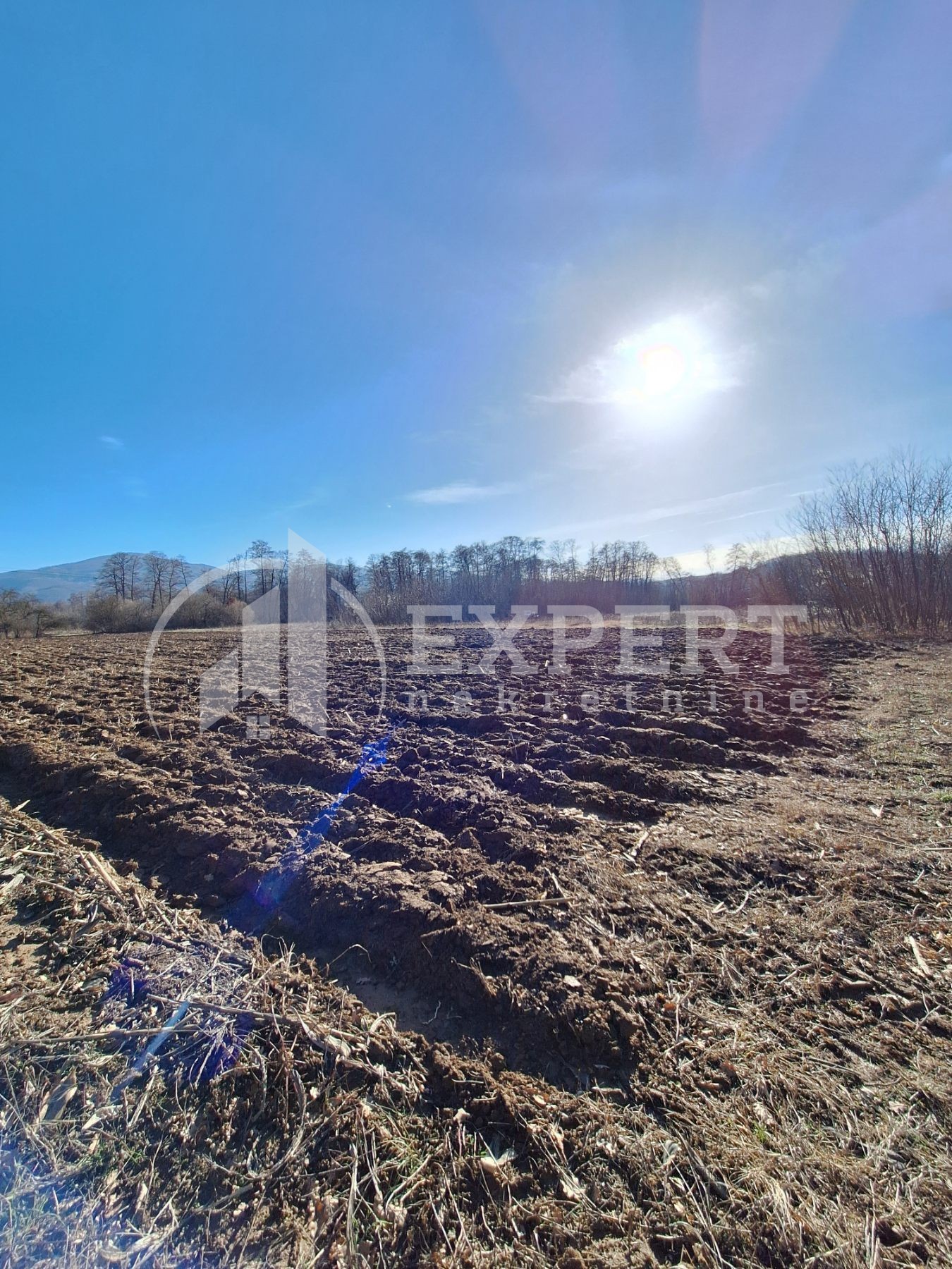 Plac, Jelašnica ID: p-010617 4