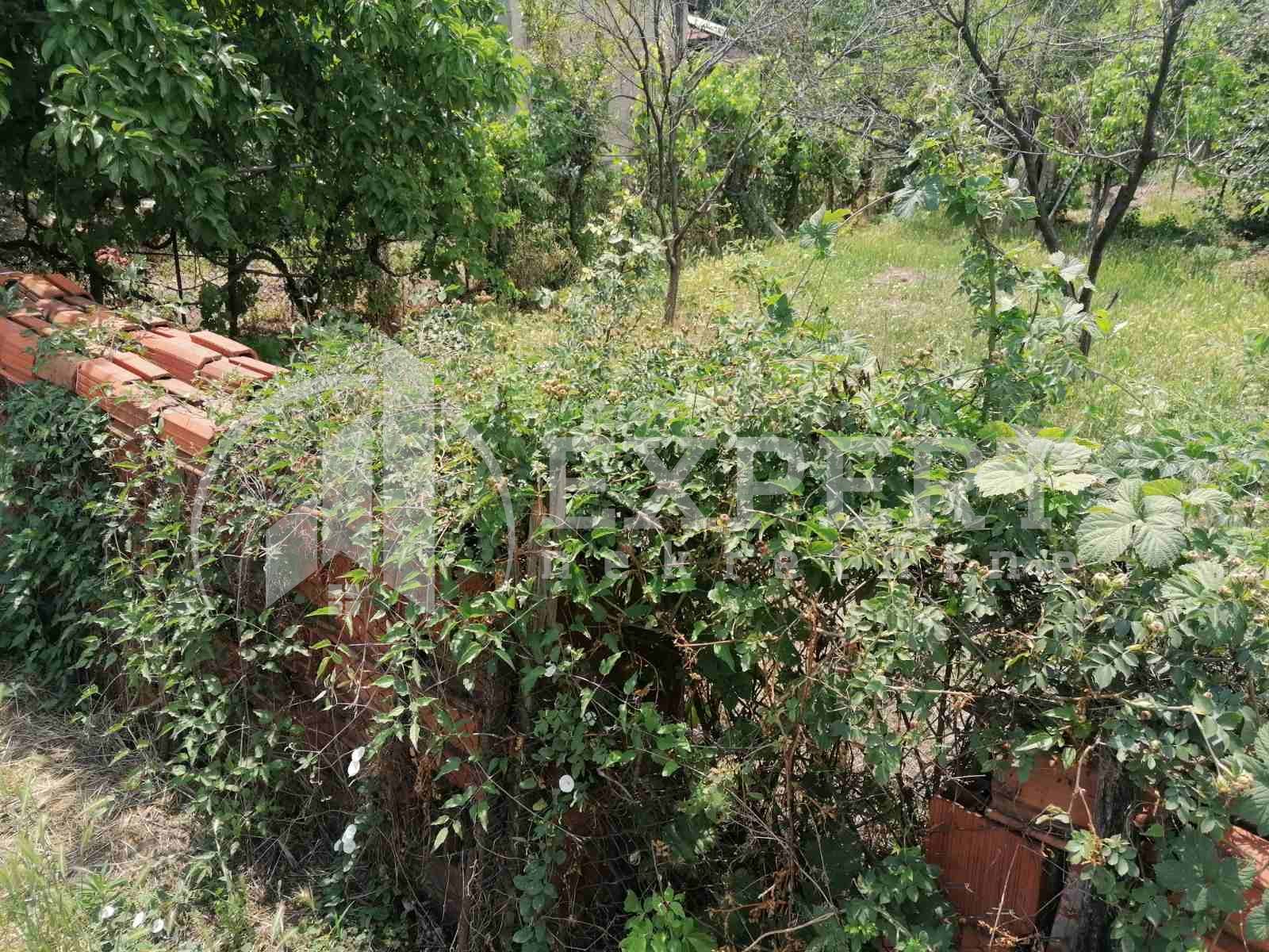 Plac, Kičevo, Drainčeva ID: p-06108 1