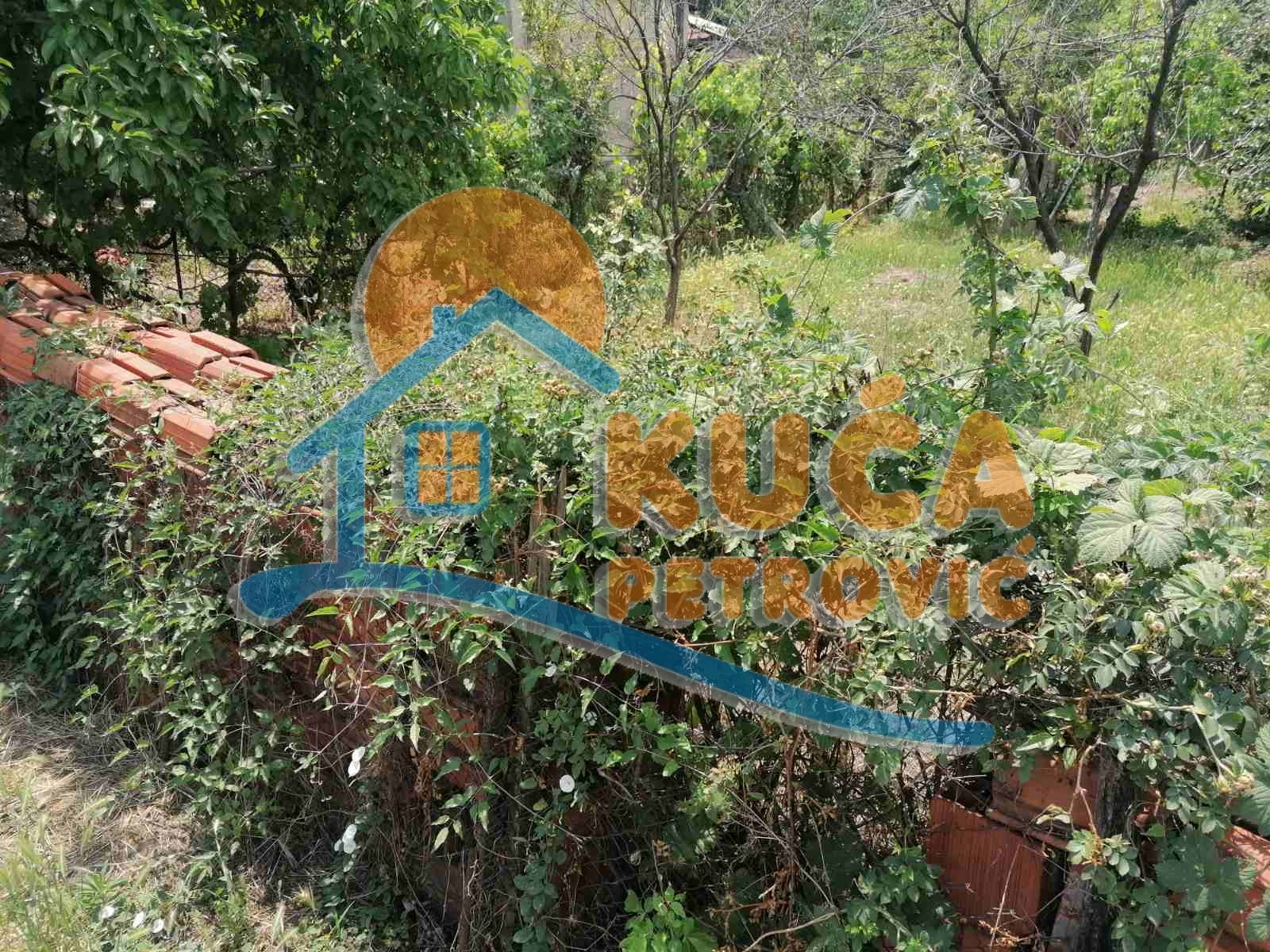 Plac, Kičevo, Drainčeva ID: p-06108 1