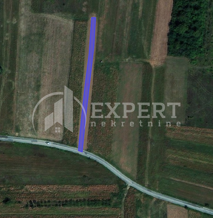 Plac, Medoševac, Medoševac ID: p-07218 1