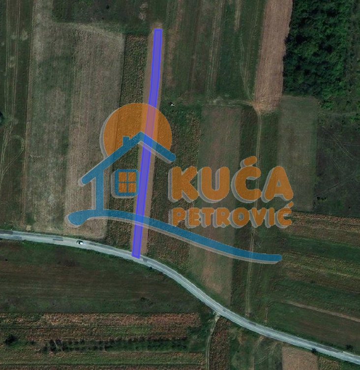 Plac, Medoševac, Medoševac ID: p-07218 1