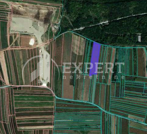 Plac, Medoševac, Popovac ID: p-011077 1