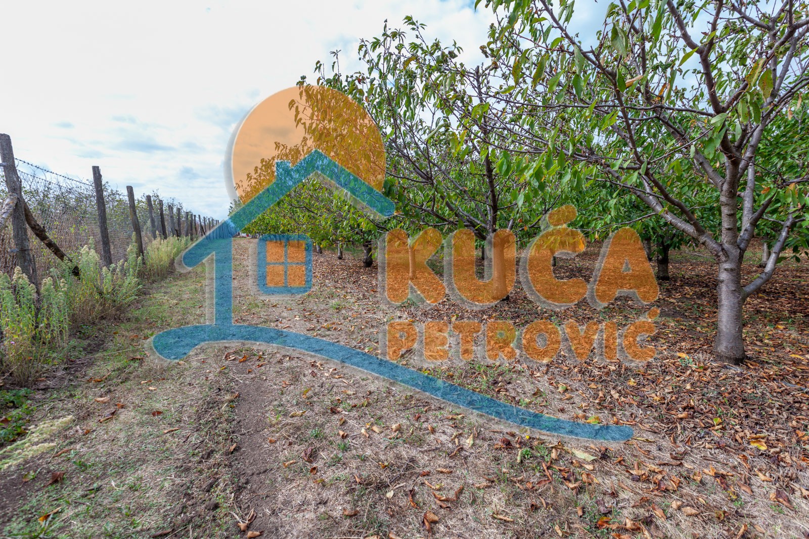 Plac, Merošina ID: p-04315 3