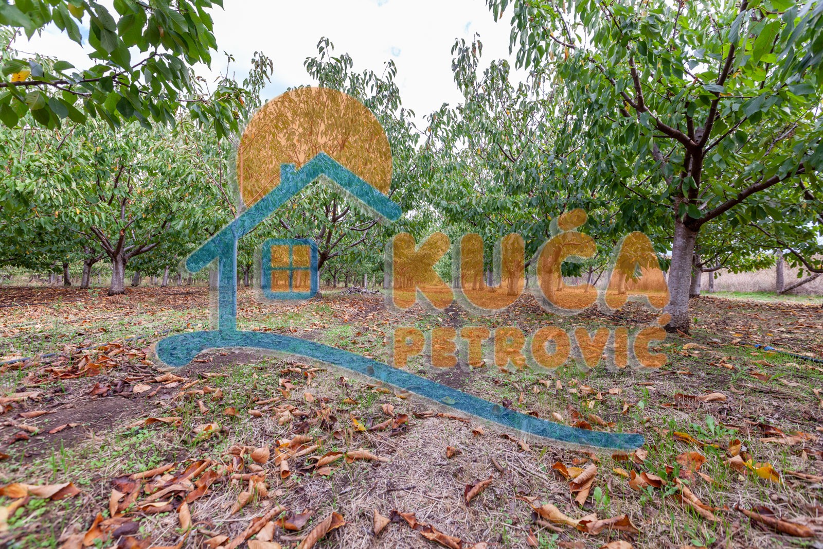 Plac, Merošina ID: p-04315 2