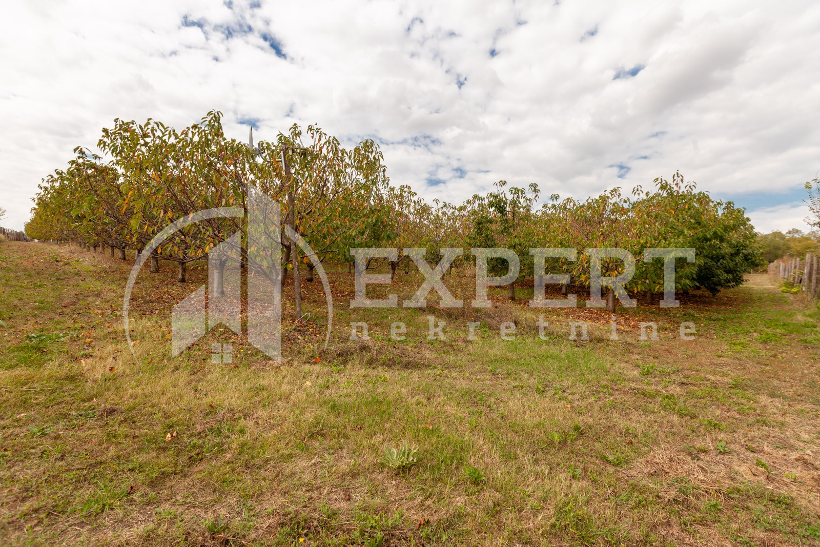 Plac, Merošina ID: p-04315 4