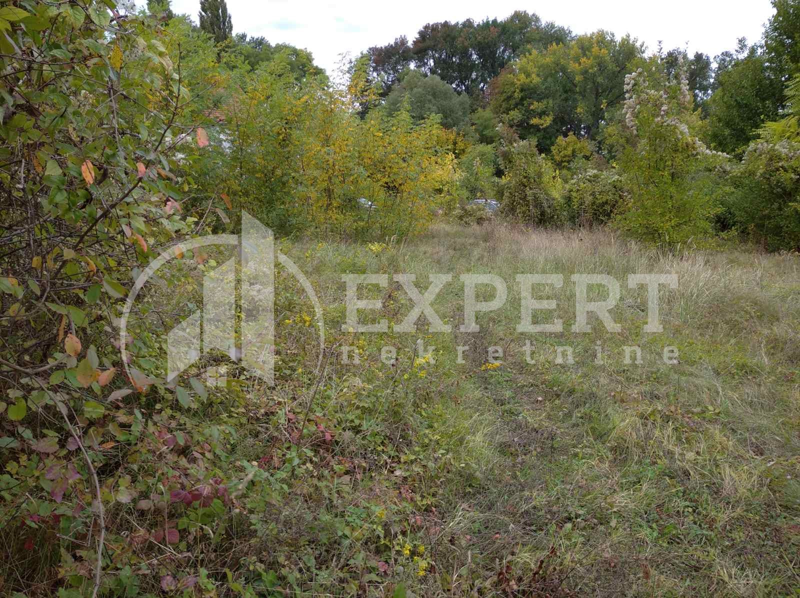 Plac, Niška Banja, Niška Banja ID: p-04109 6