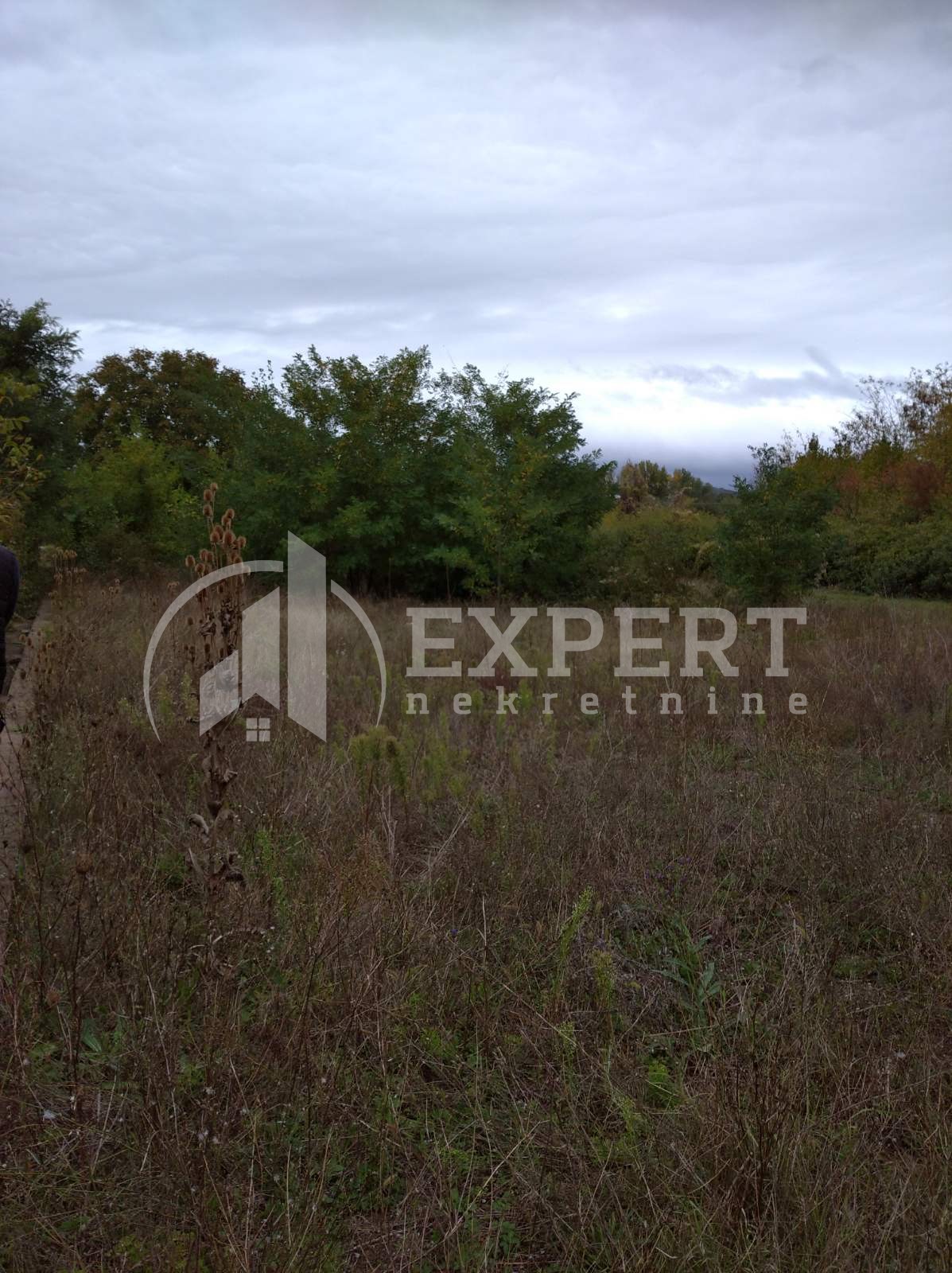 Plac, Niška Banja, Niška Banja ID: p-04109 3