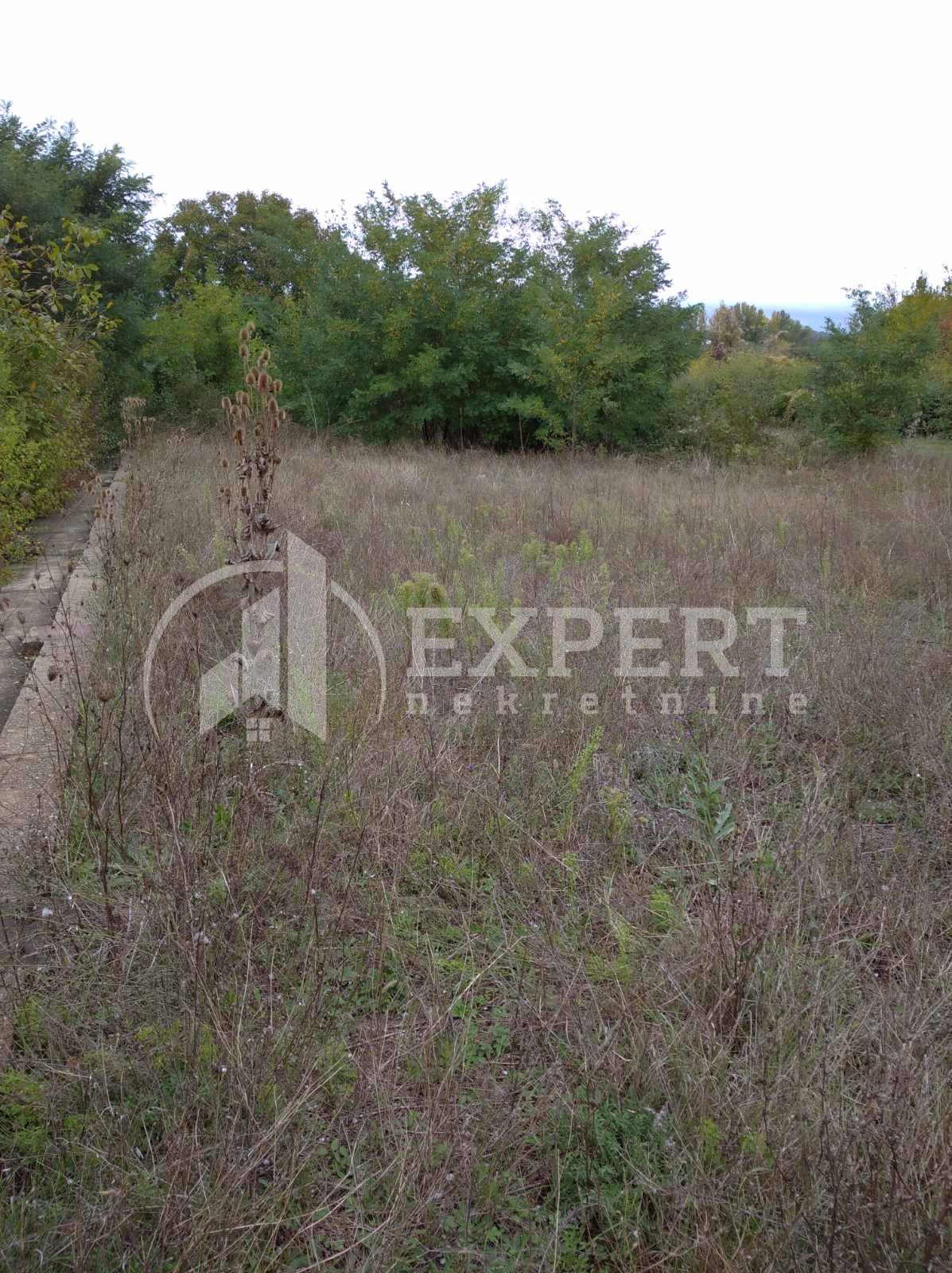 Plac, Niška Banja, Niška Banja ID: p-04109 4