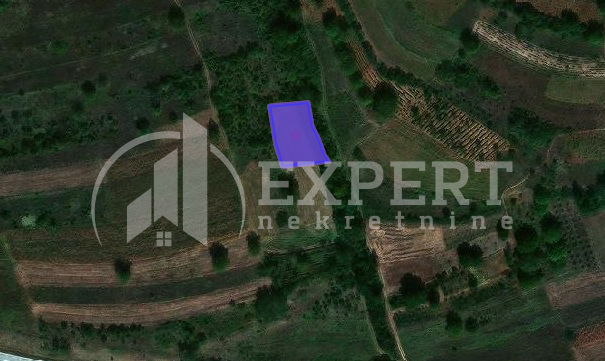 Plac, Niška Banja, Prosek ID: p-05835 2