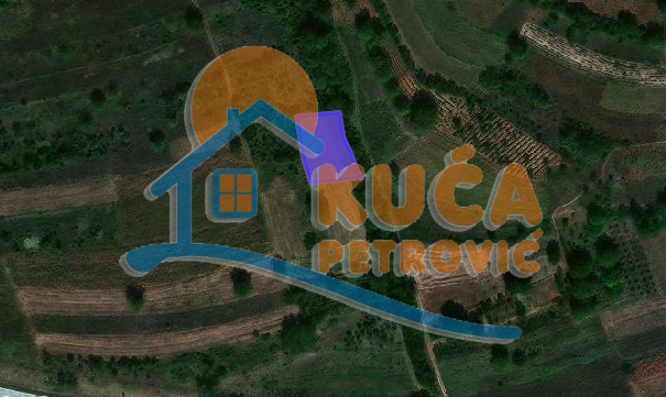 Plac, Niška Banja, Prosek ID: p-05835 2