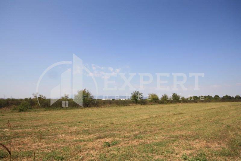 Plac, Palilula, Dimitrija Tucovića ID: p-01833 6