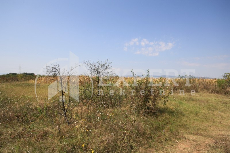 Plac, Palilula, Dimitrija Tucovića ID: p-01833 2