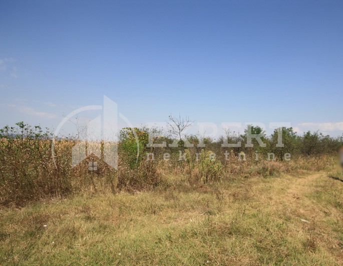 Plac, Palilula, Dimitrija Tucovića ID: p-01833 3