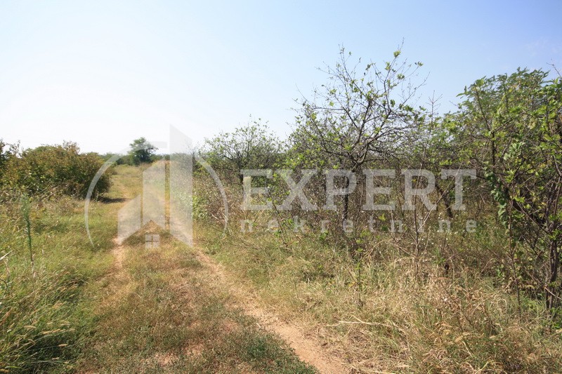 Plac, Palilula, Dimitrija Tucovića ID: p-01833 4