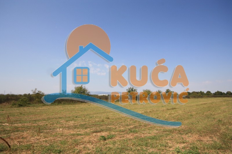 Plac, Palilula, Dimitrija Tucovića ID: p-01833 6