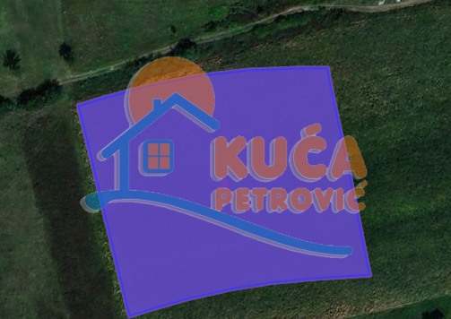 Plac, Palilula, Dimitrija Tucovića ID: p-07284 2