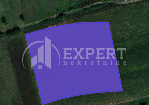 Plac, Palilula, Dimitrija Tucovića ID: p-07284 2