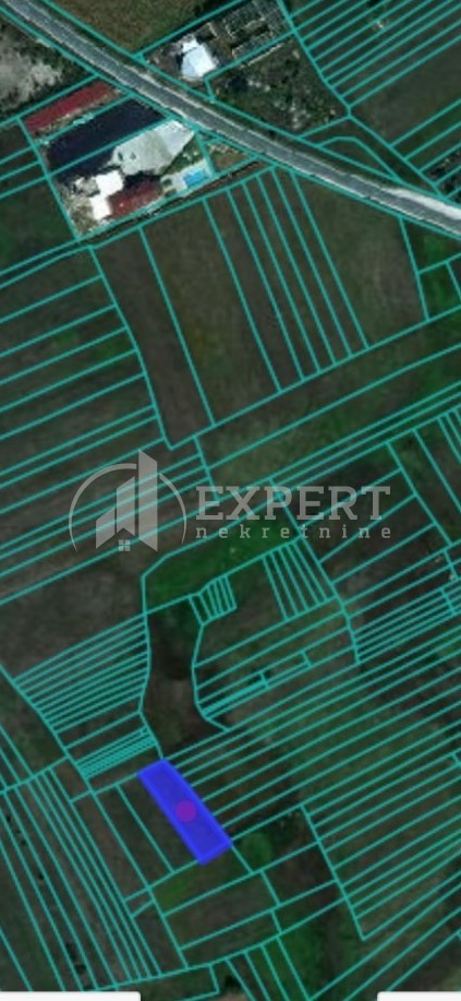 Plac, Palilula, Donje Medjurovo ID: p-010675 2