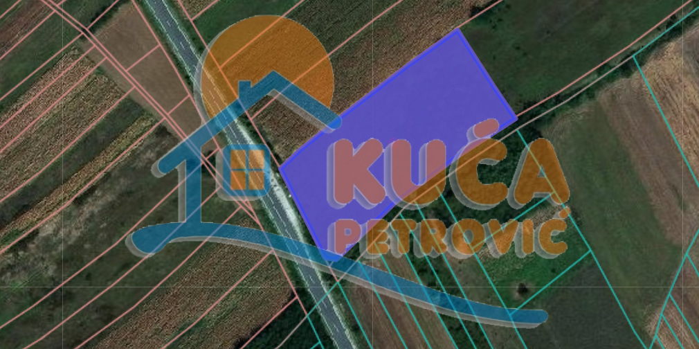 Plac, Palilula, Donje Medjurovo ID: p-07999 2