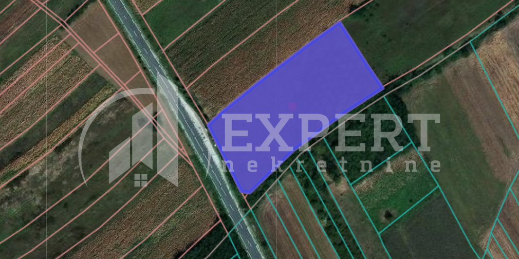 Plac, Palilula, Donje Medjurovo ID: p-07999 2