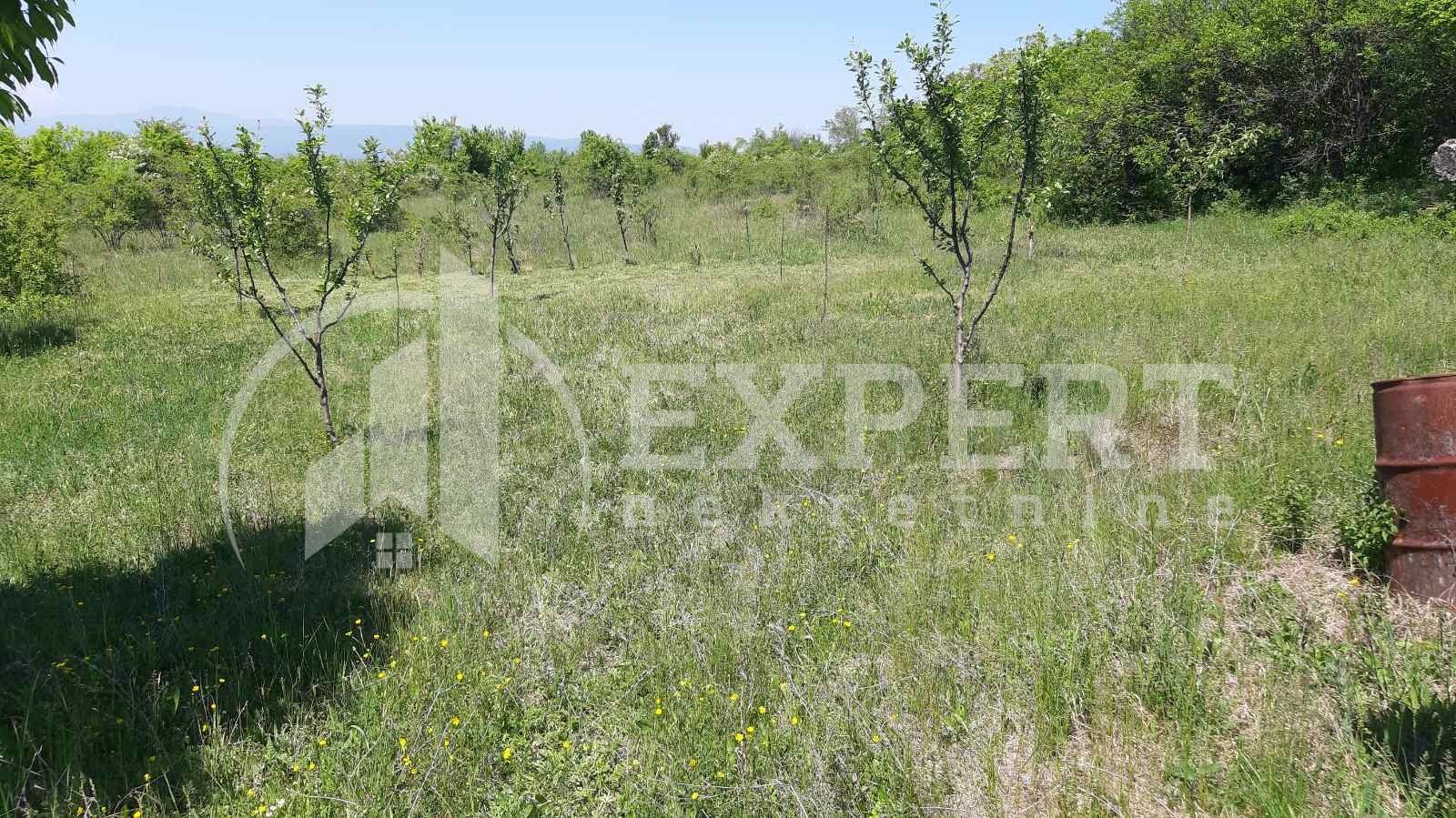 Plac, Palilula, Donje Vlase ID: p-03857 3