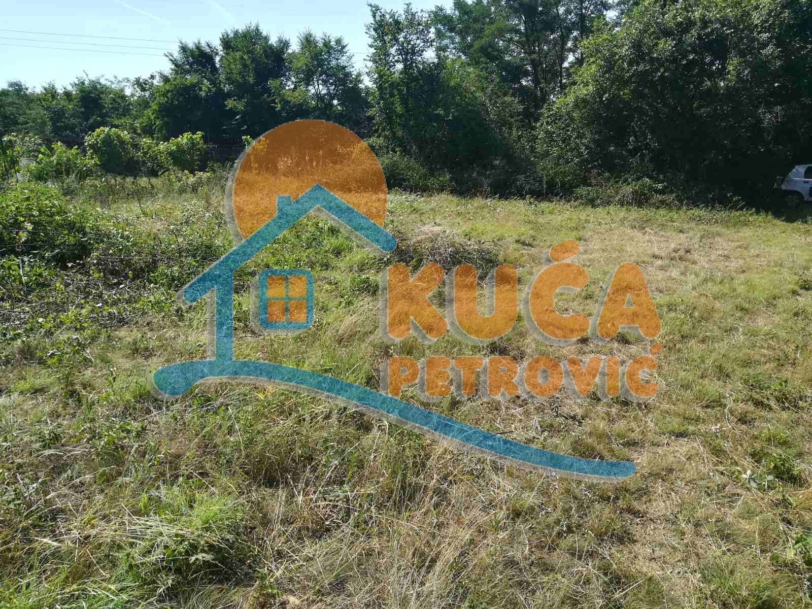 Plac, Palilula, Donjovlaška ID: p-03628 2