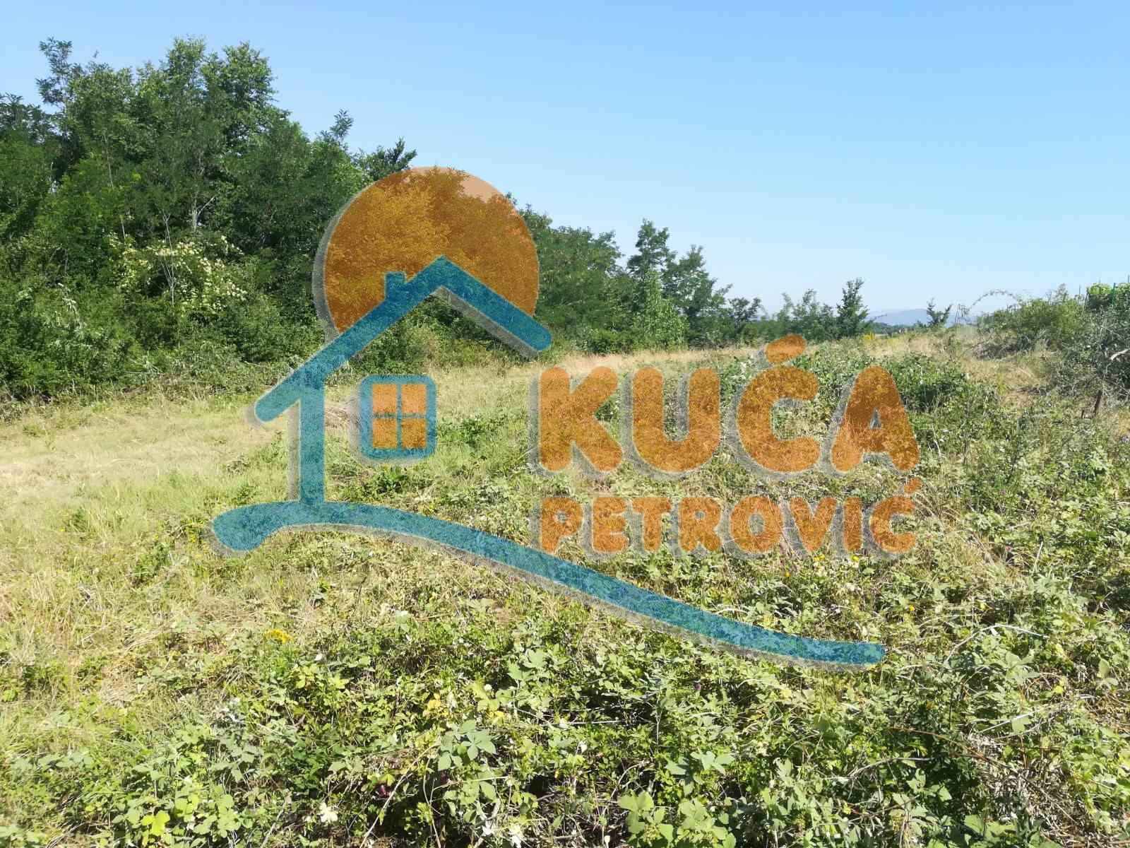 Plac, Palilula, Donjovlaška ID: p-03628 3