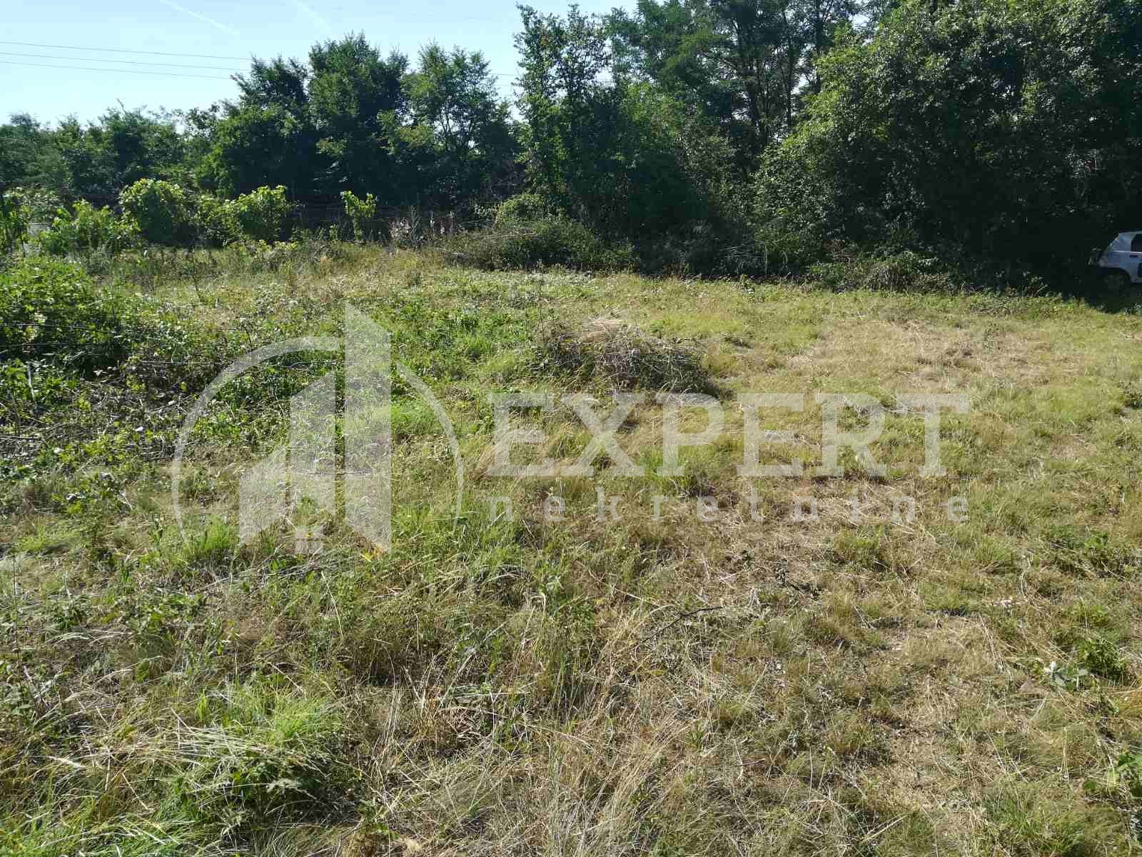 Plac, Palilula, Donjovlaška ID: p-03628 2