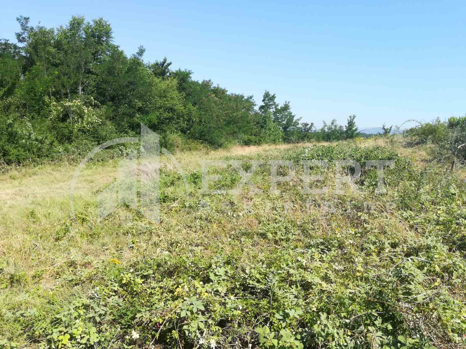 Plac, Palilula, Donjovlaška ID: p-03628 3